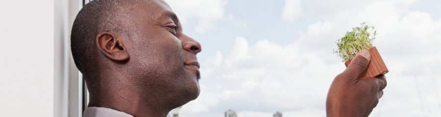 Businessman next to a big window with city view looking at  a miniature clay block with watercress