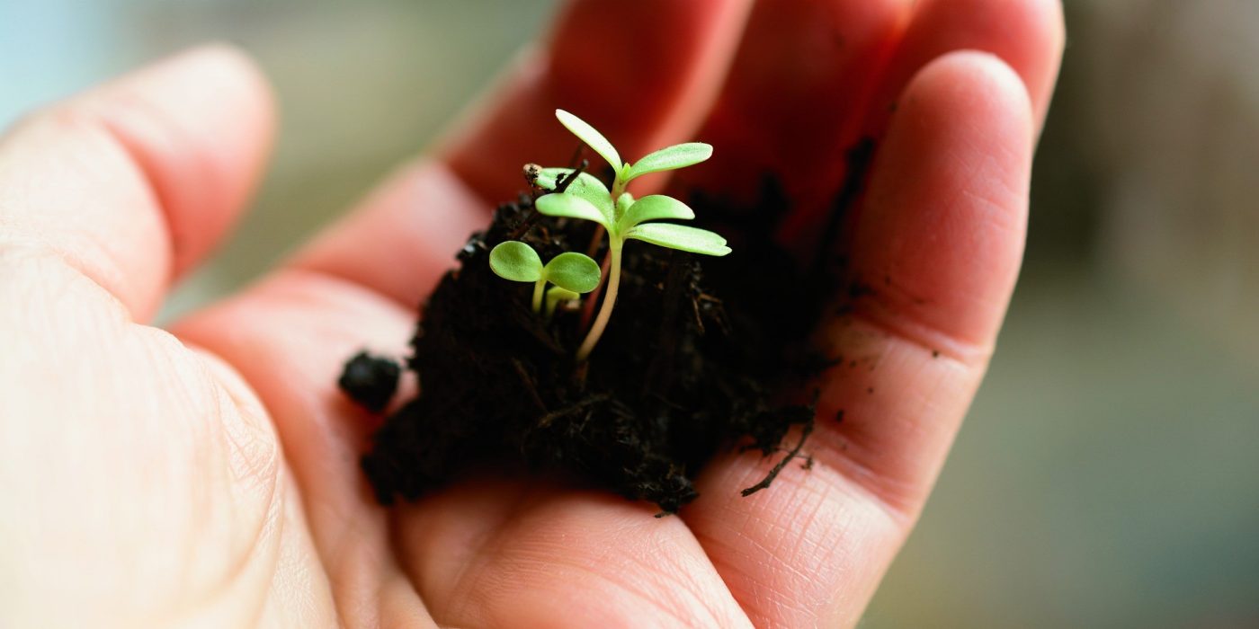  Hands with the earth