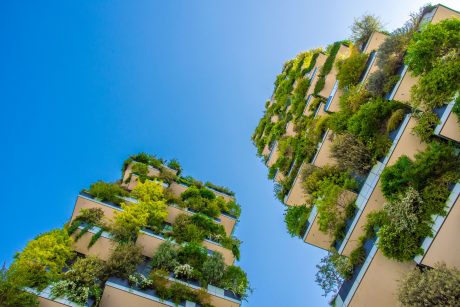 Foto Progetto Boeri con alberi verdiita
