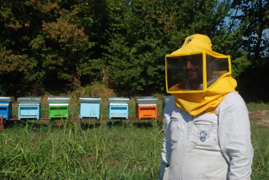 Antonio D'Agostino - Apicultore Bubano (BO)