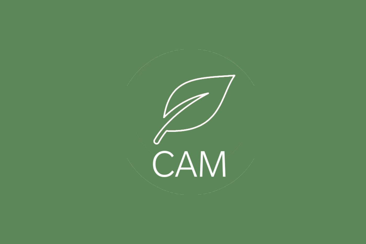 Laterizi conformi ai CAM