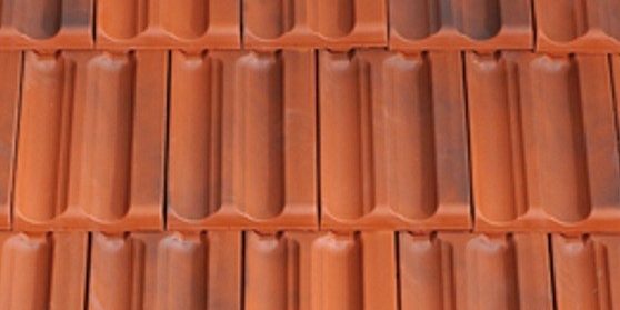 Fidelio Antichizzato