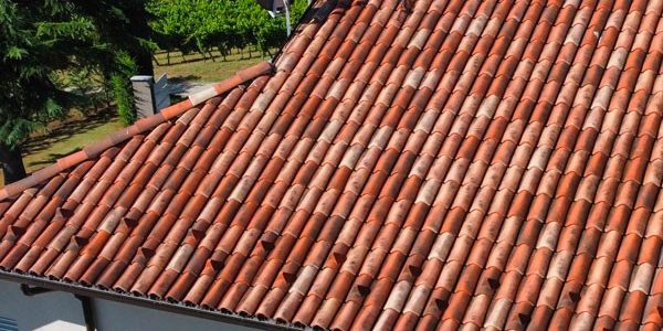 thumb-coppo-san-marco-evo