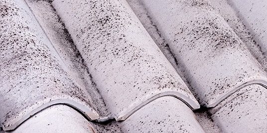 Coppo SanMarco Evo Grey