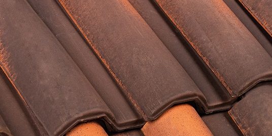 Portoghese Piemonte SanMarco Visconteo