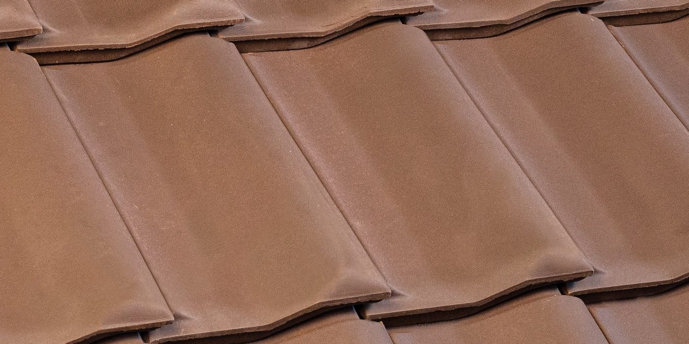 Olandese Pica Testa di Moro