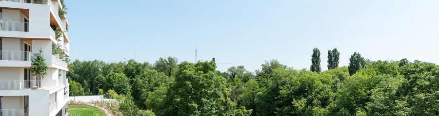 Ca delle Alzaie Treviso Stefano Boeri Architects landscape with green