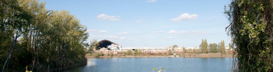 Stabilimento Bubano nel verde con lago
