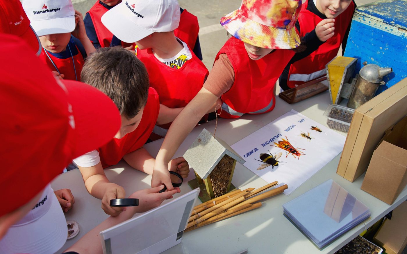 Biodiversity Day Bubano 2024