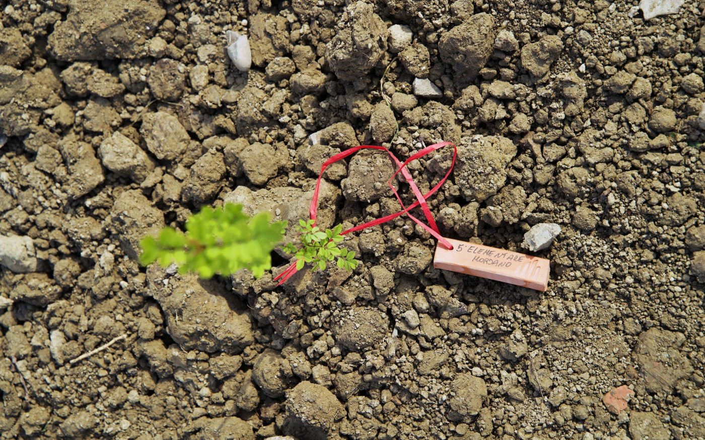 Biodiversity Day Bubano 2024