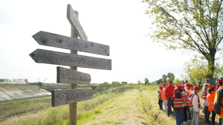 Biodiversity Day Bubano