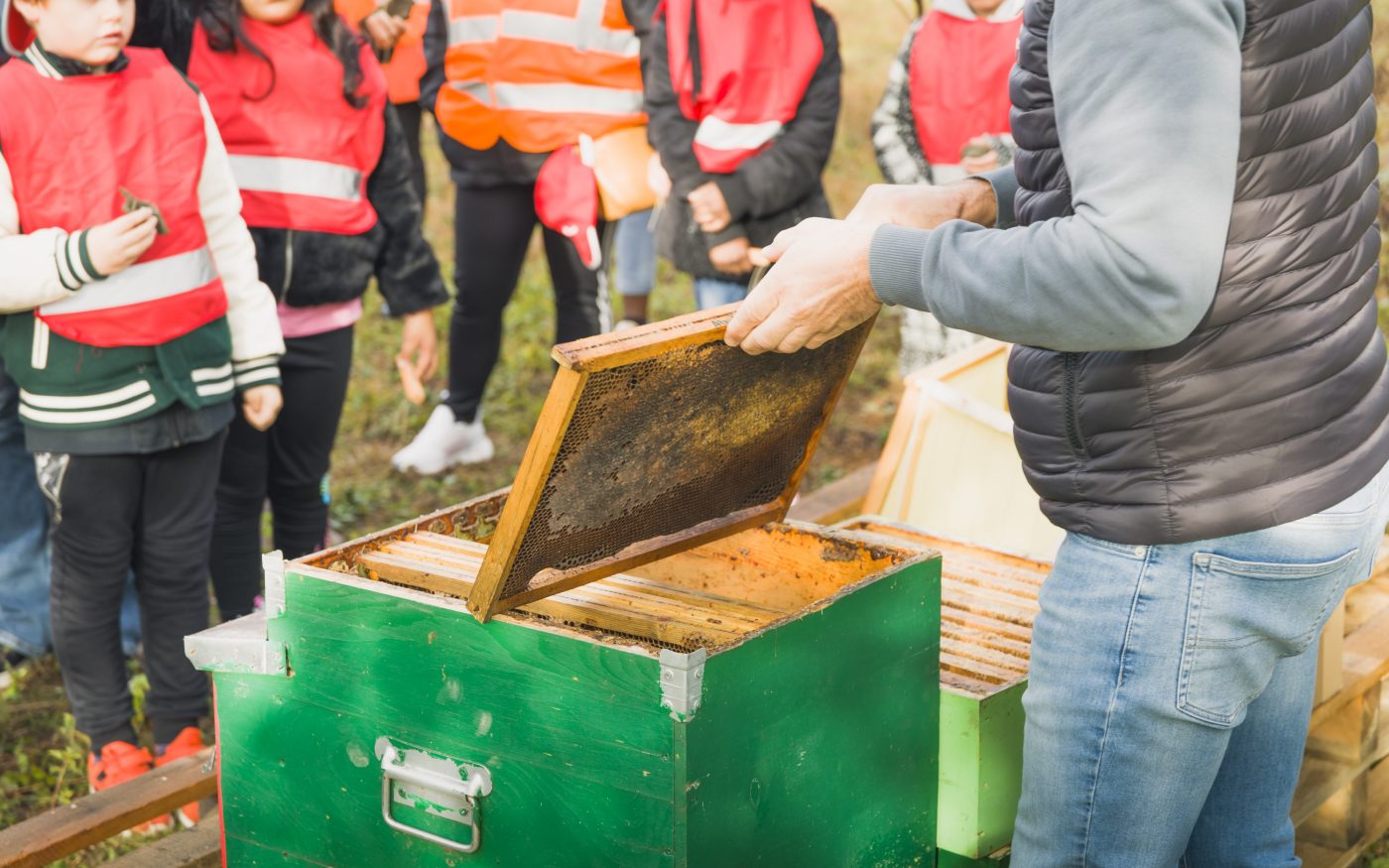 Biodiversity Day Gattinara 2023