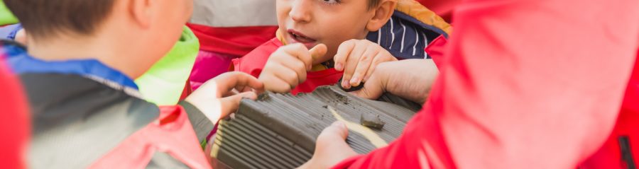 Biodiversity Day Gattinara 2023