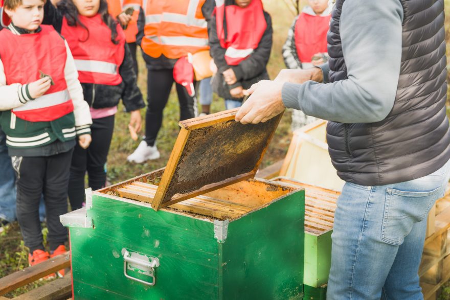 Biodiversity Day Gattinara 2023