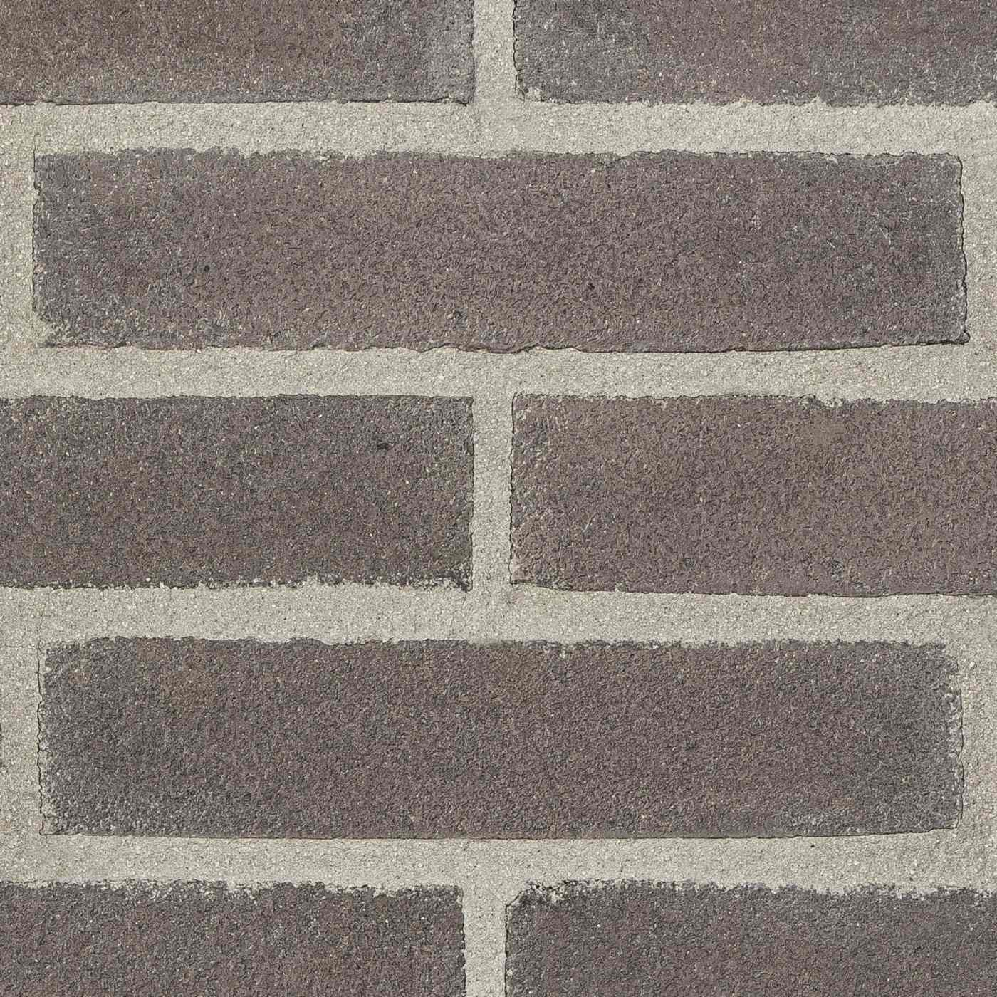 Vivo grigio scuro
