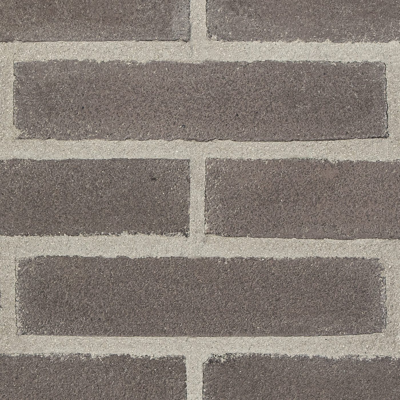Vivo grigio scuro