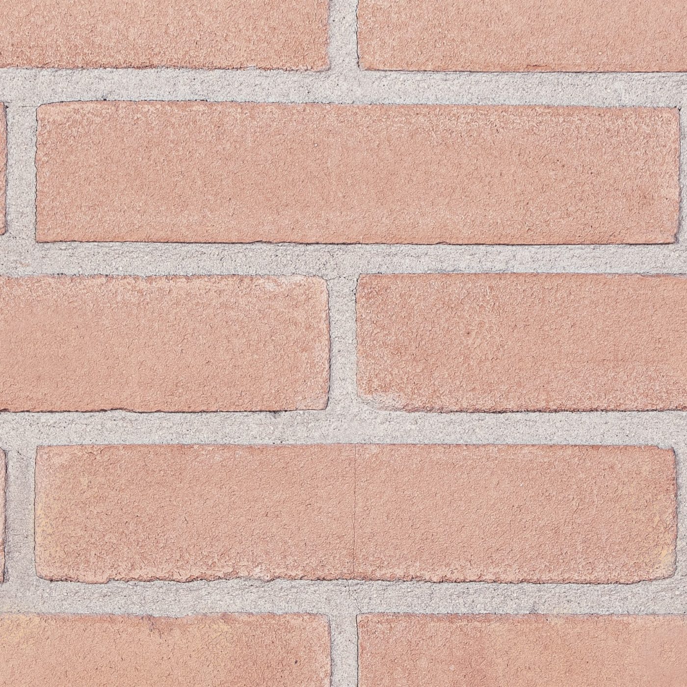 Vivo rosato BZ