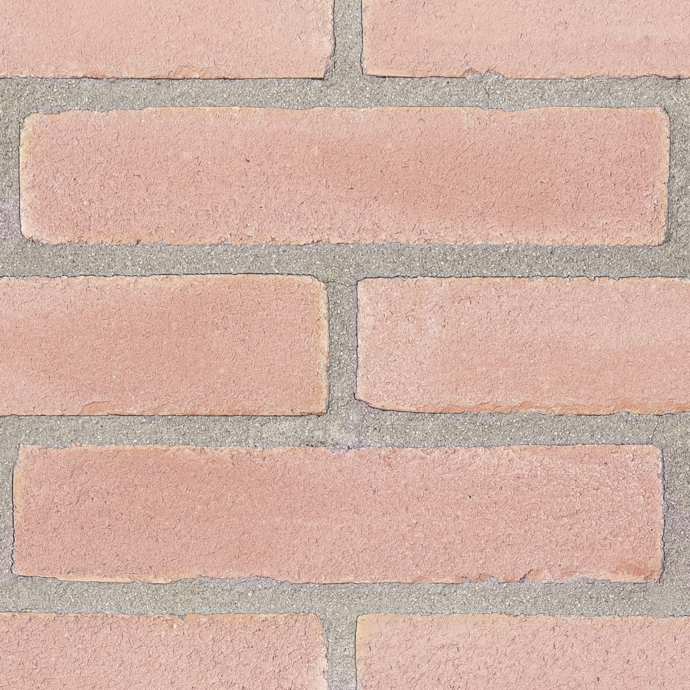 Vivo rosato