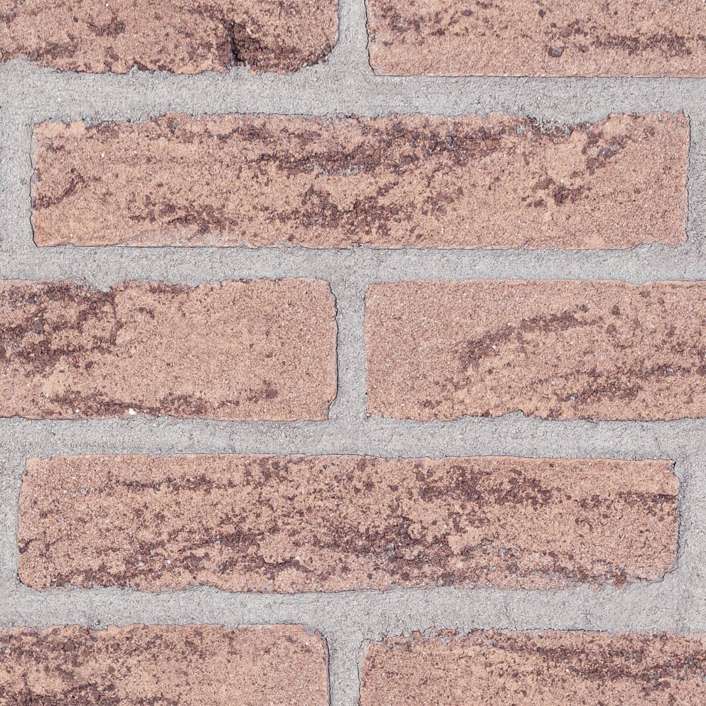 Terrae padane rosato