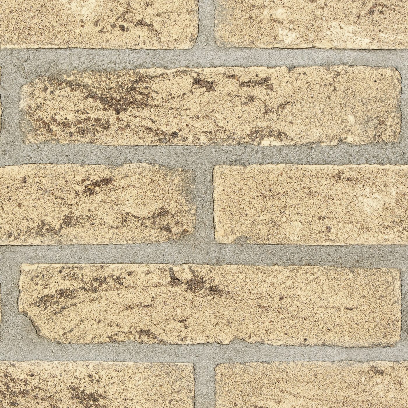 Terrae padane giallo