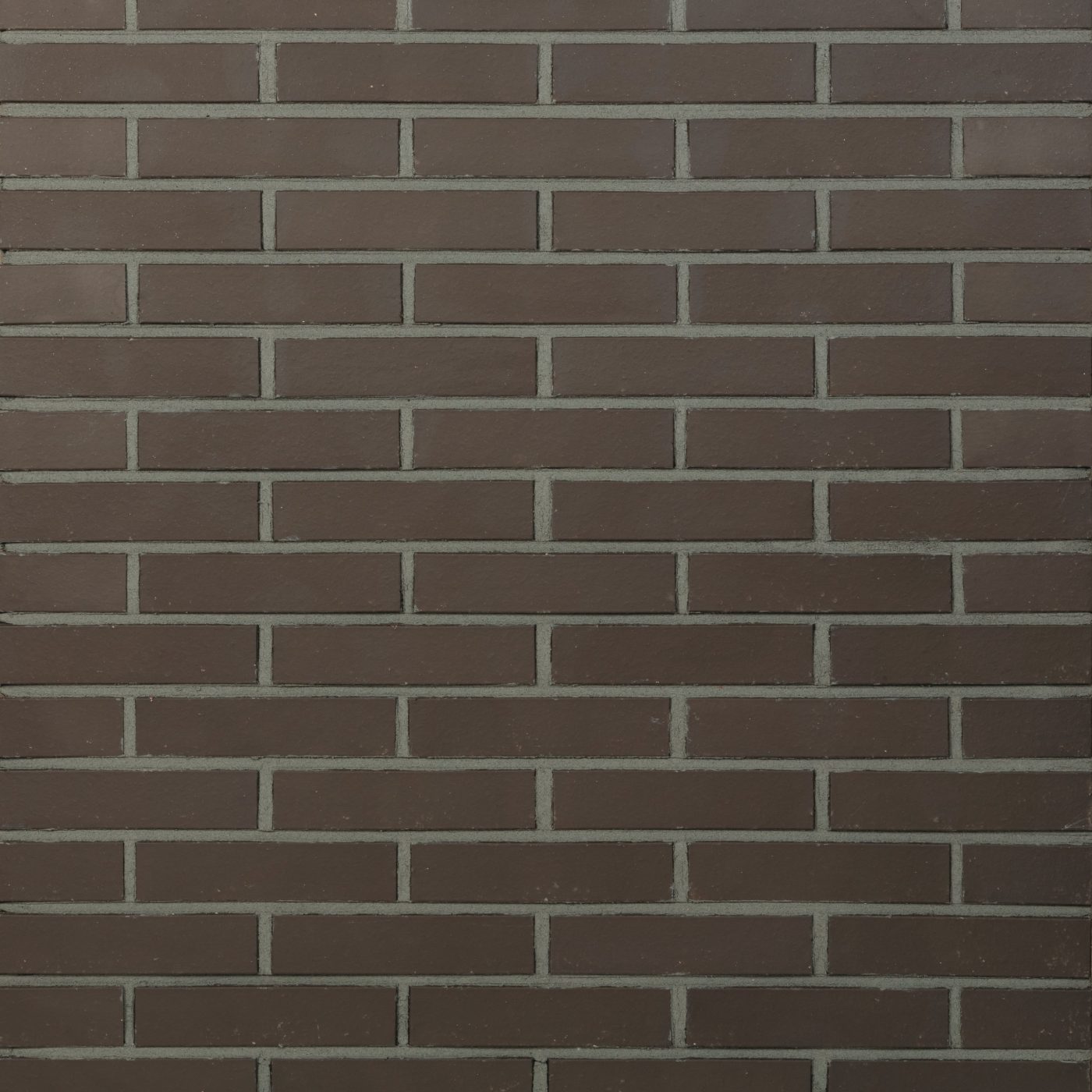 France Decò Liscio Brun