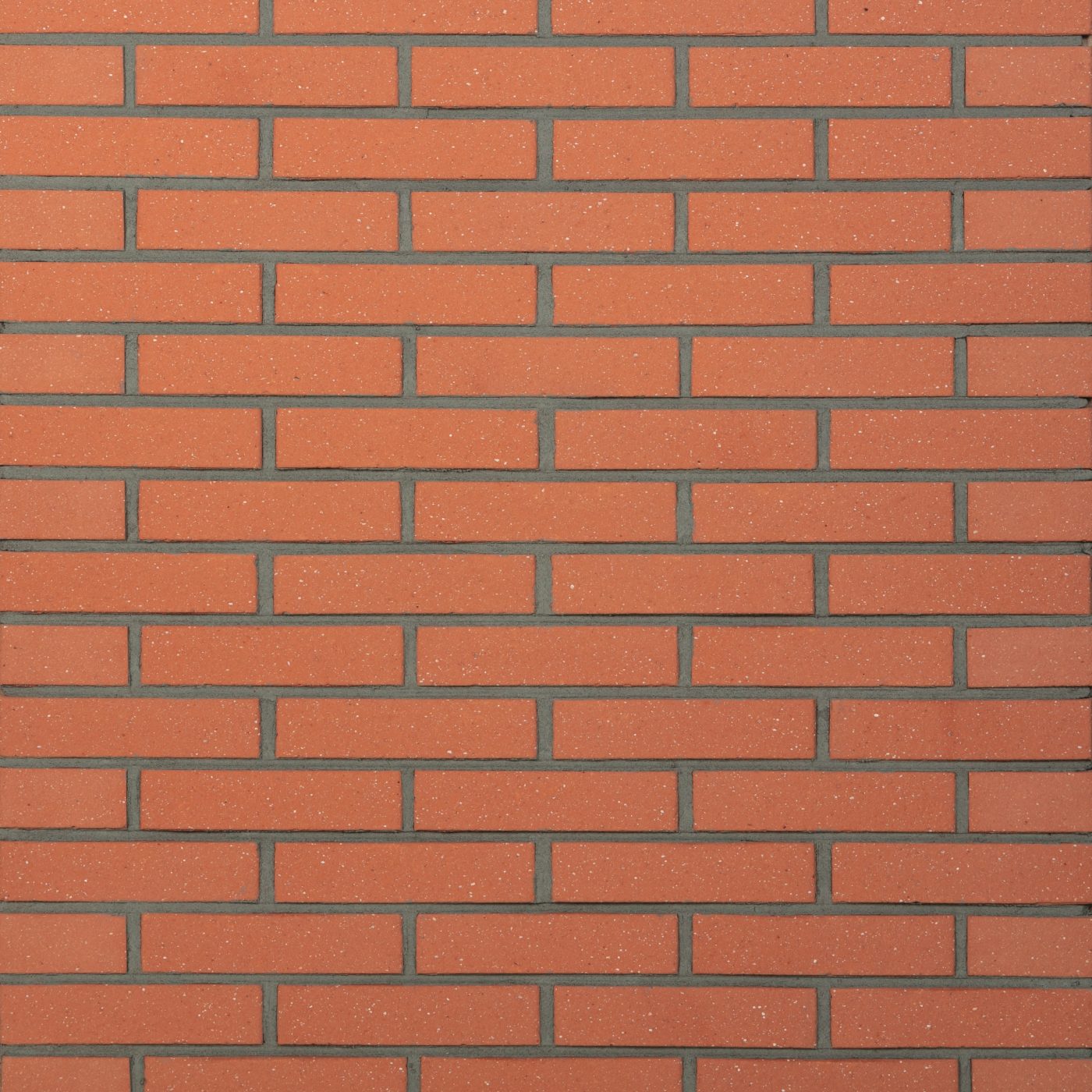 France Decò Sabbiato Rose