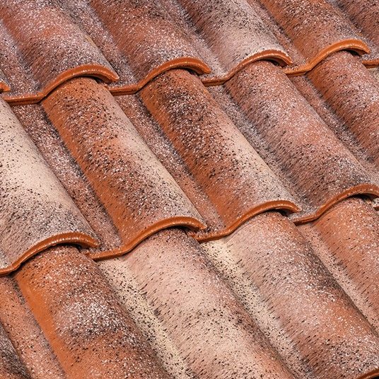 Portoghese SanMarco Ticino