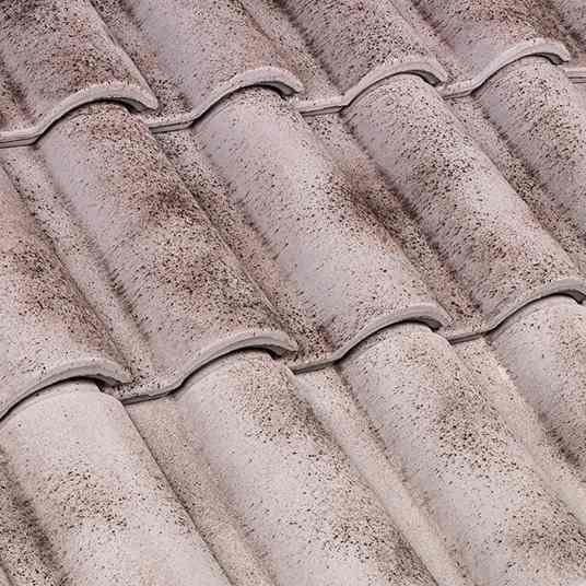 Portoghese SanMarco Grey