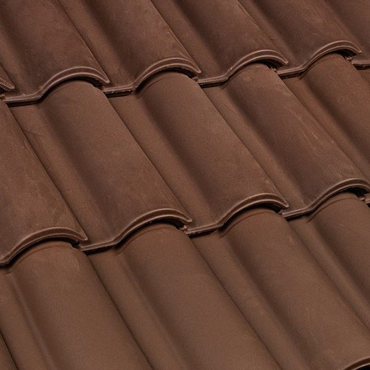 Portoghese SanMarco Testa di Moro