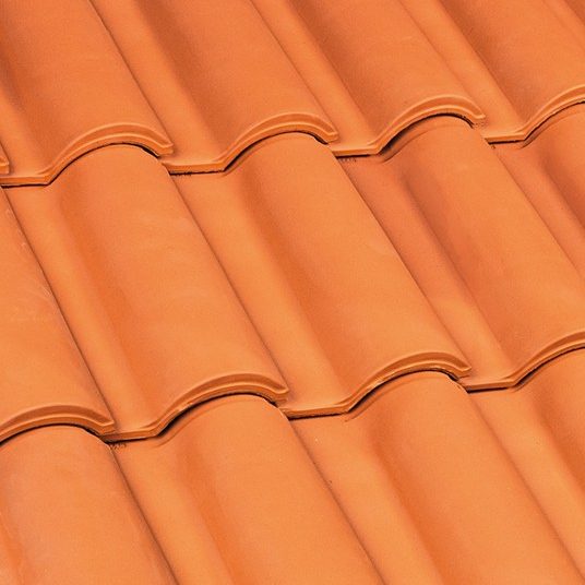 Portoghese SanMarco CF Rosso