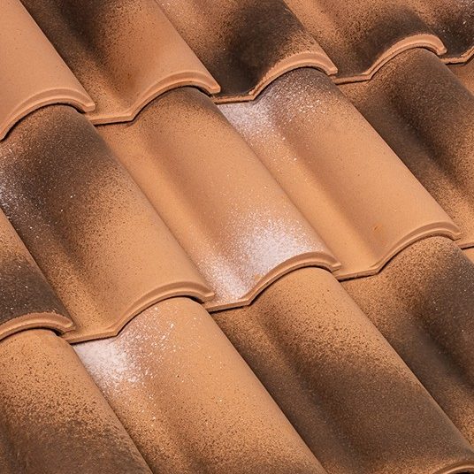 Portoghese SanMarco Antica Roma