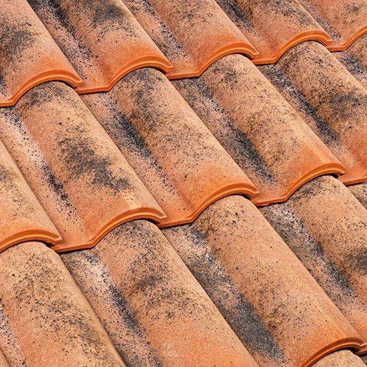 Portoghese SanMarco Aretina