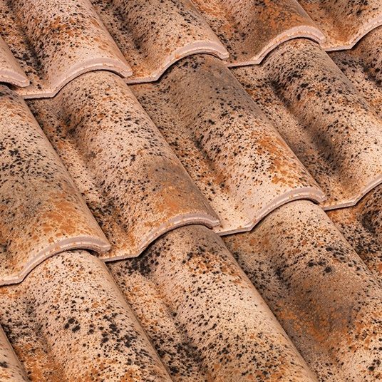 Portoghese SanMarco Flaminia