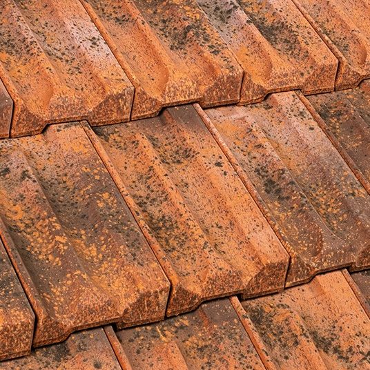 Marsigliese SanMarco Borgia