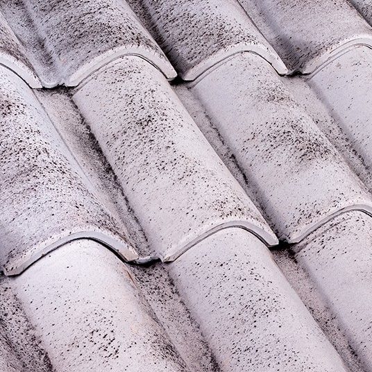 Coppo SanMarco Evo Grey