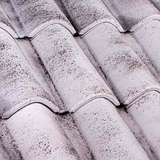 Coppo SanMarco Evo Grey