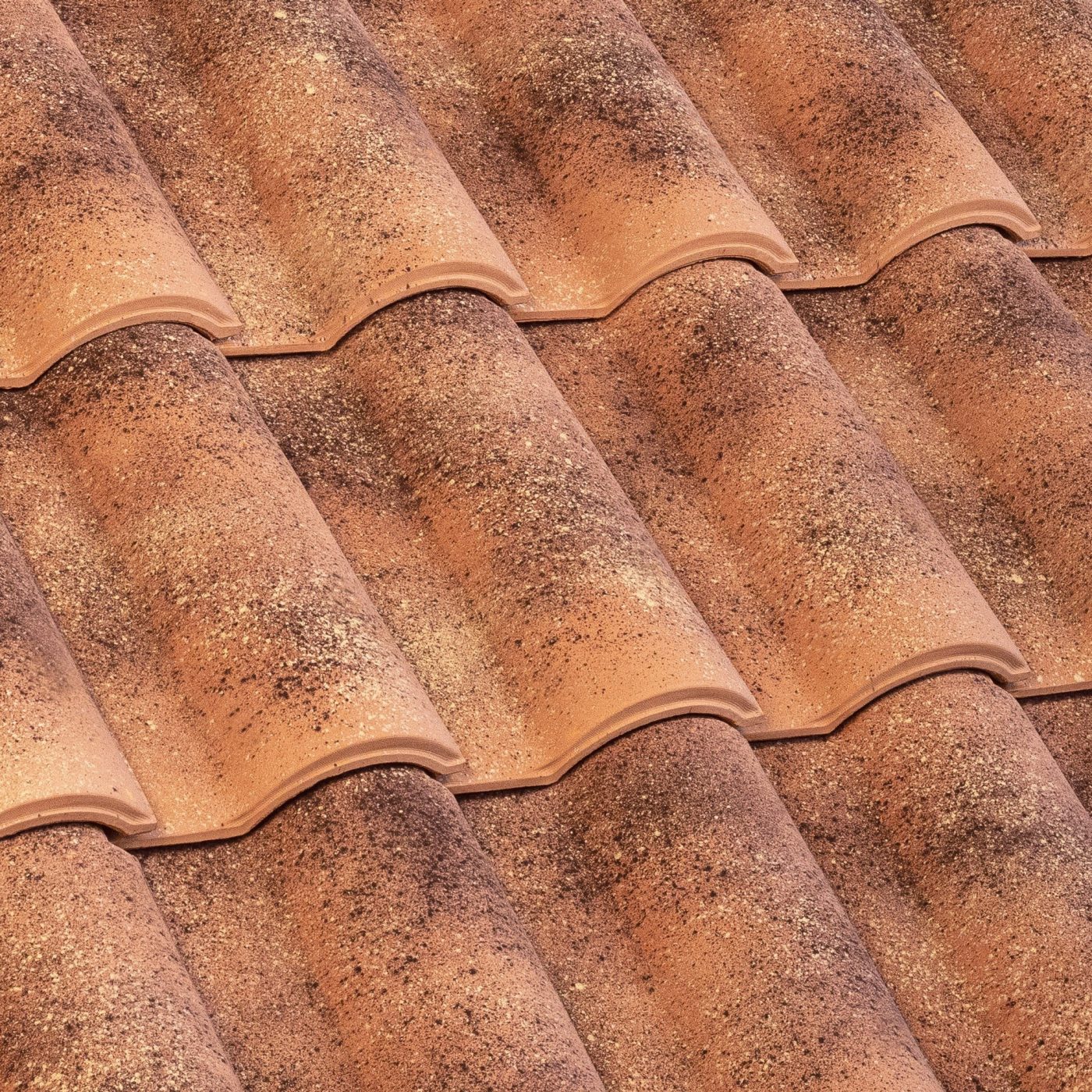 Portoghese Pica Tuscania