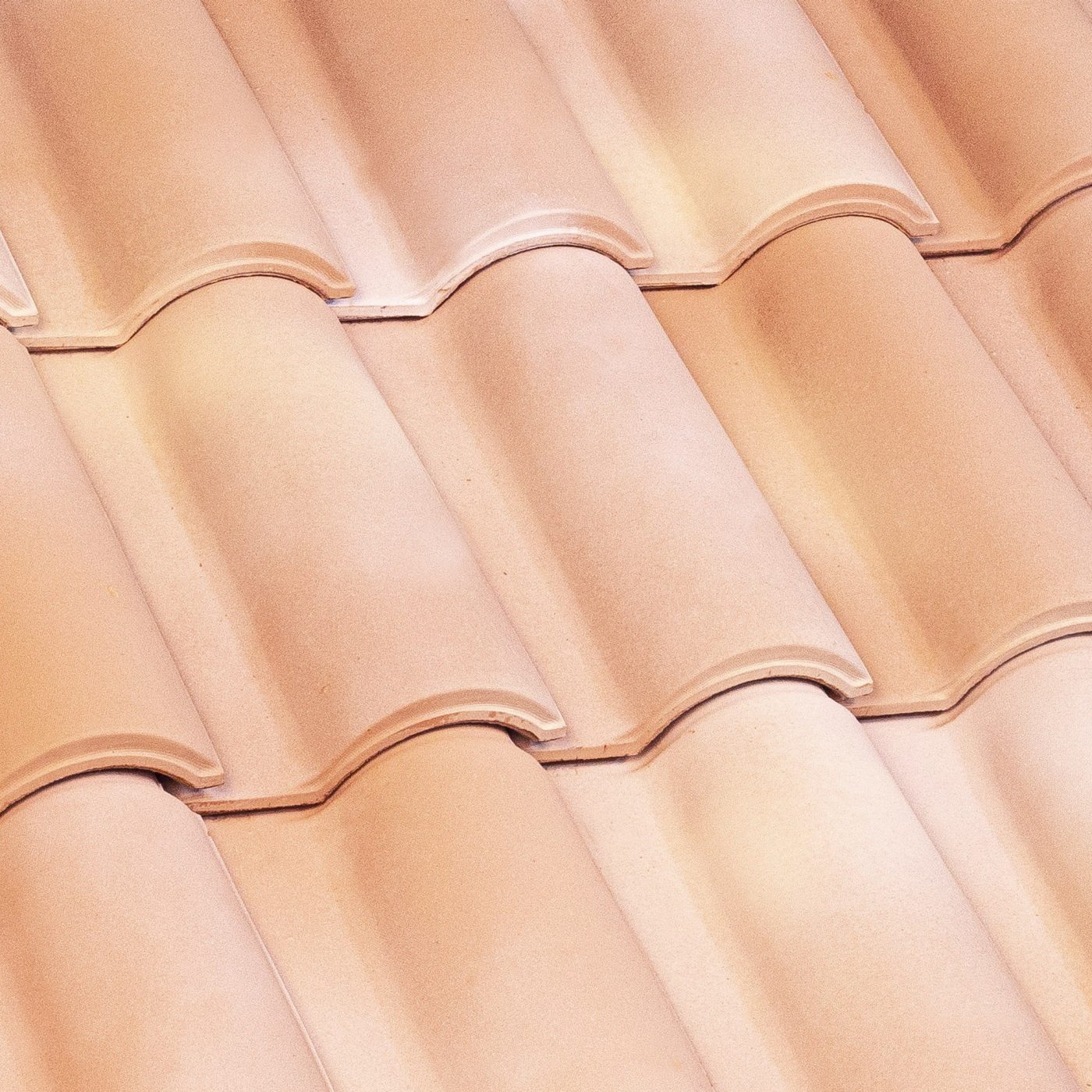 Portoghese Pica Ambrata