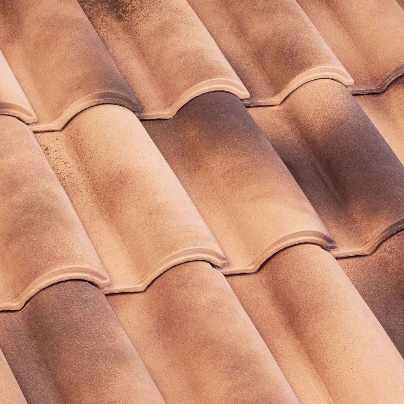 Portoghese Pica Montefeltro